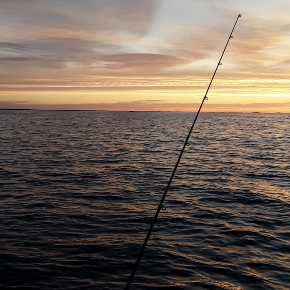 👚Bling Sequined 3/4 sleeve Awesome Tee NWOT - Picture 9 of 12